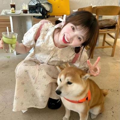 阿尔玛与狼